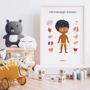 Kieskleurig  Educatieve Poster – Het menselijk lichaam – jongen
