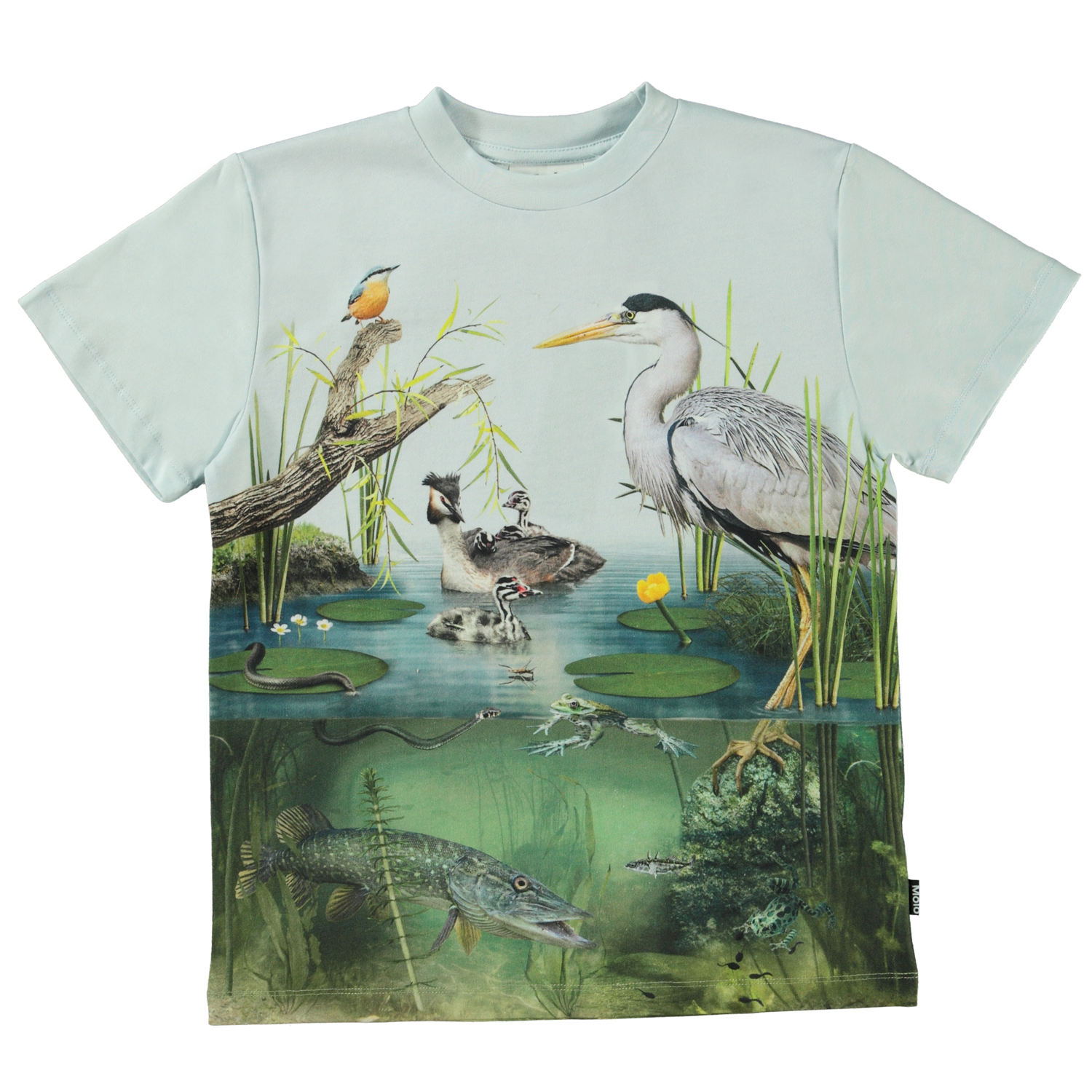 Molo t-shirt Roxo Pond life
